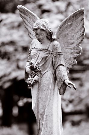 Series of Cemetery Angels and monuments from New Orleans and Houstonの写真素材