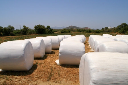 Hay on field, Naxos, Greeceの写真素材