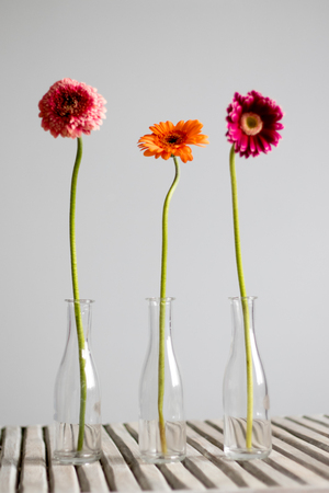 vasesの写真素材