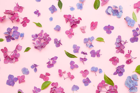 The composition of flowers. A frame of dried pink flowers on a white background. Flat sunbed, top view, copy spaceの写真素材