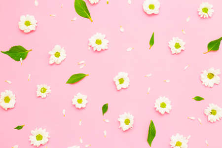 The composition of flowers. A frame of dried pink flowers on a white background. Flat sunbed, top view, copy spaceの写真素材