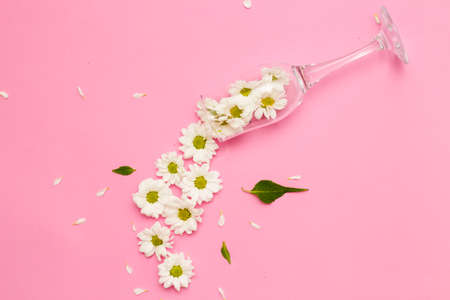 Daisies on a pink background, the concept of a party in a minimal season. The idea of the flowering of nature. Composition of flowersの写真素材