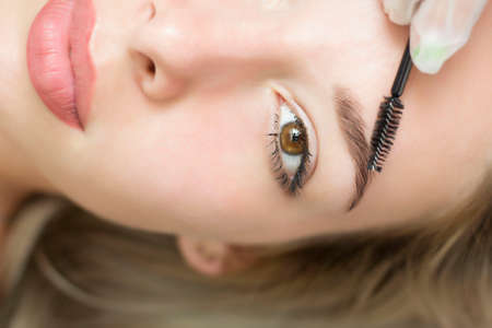 A young woman undergoes the procedure of eyebrow correction, henna staining, lamination. Close-up. Half of the faceの写真素材