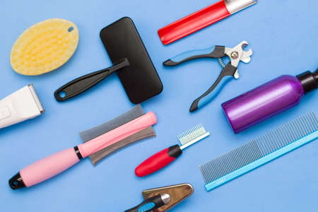 Layout of grooming tools on a blue background.の写真素材
