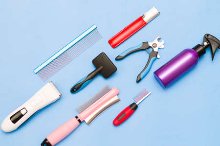 Layout of grooming tools on a blue background.の写真素材