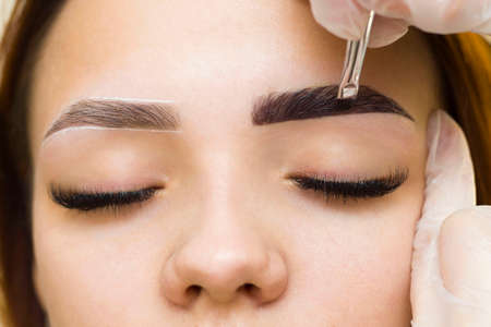 The makeup artist applies paint to the eyebrows. permanent makeup. Staining with henna paint.の写真素材