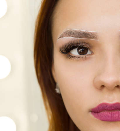 Eye and eyebrow close-up. Marking with a white pencil. permanent makeup. Staining with henna paint.の写真素材