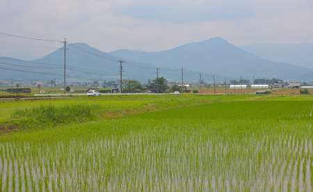 Yamada's rice paddies and lineの写真素材
