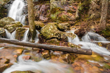Rocks, trees and waterfalls produce a scenic backdrop in the forest, inside a hard to find canyon near the top of a mountainの写真素材