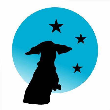 Dachshund black silhouette watching night sky with starsのイラスト素材