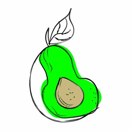 Fresh green halved avocado sketch drawingのイラスト素材