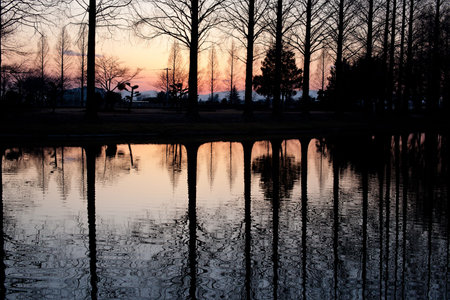 Sunset Lake