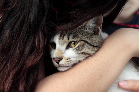 My adopted catsの写真素材