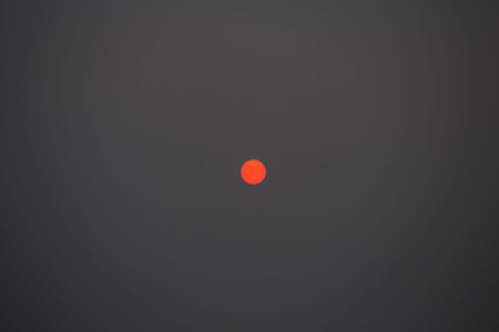 Fog in the evening sun