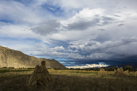 The Tibetan plateau, Lhasa suburbの写真素材