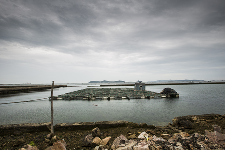 aquaculture, fish farmingの写真素材