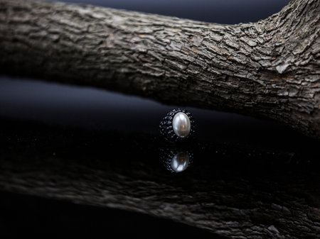 Black pearl ringの写真素材