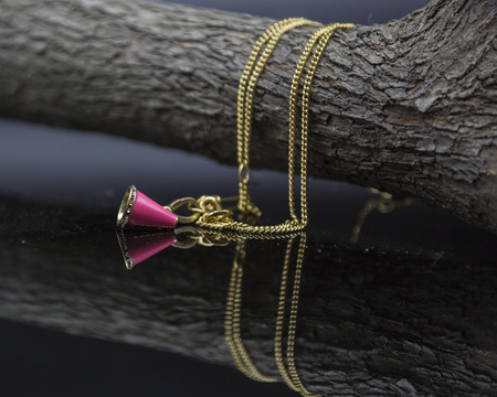 Horn and gold necklaceの写真素材