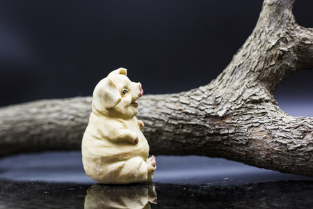 Sitting pig Porcelain figureの写真素材