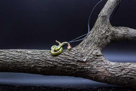 Snake necklace pendants