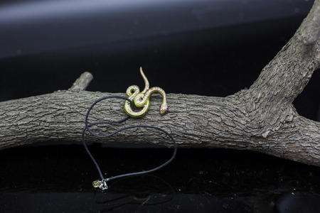 Snake necklace pendantsの写真素材