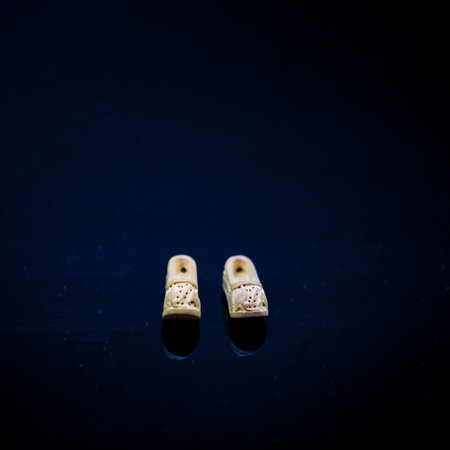 Wooden shoe craftsの写真素材