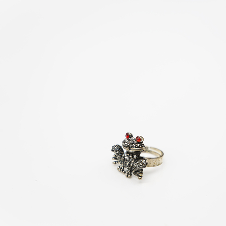 Frog metal ringの写真素材
