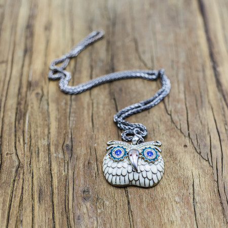 OWL necklaceの写真素材