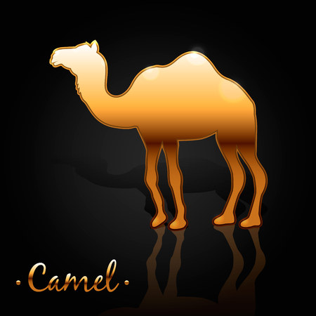 Vector illustration in a flat style. one-humped golden camelのイラスト素材
