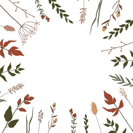 Backgraund with floral elements. Frame for text. Botanical collection. Set of field flowers, herbs. Flowers, leaves, branches and other natural elements.のイラスト素材