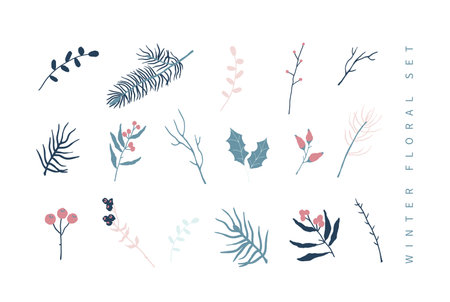 Set of winter floral decoration element with pine, leaves, berries and spruce. Hand drawn style.のイラスト素材