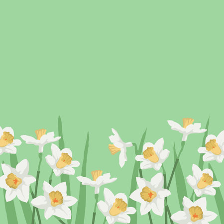 Spring banner with daffodils. Flowers background for design.のイラスト素材