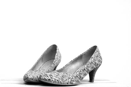 Black white zebra women high heel shoesの写真素材
