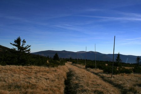Sunny autumn path to Snezka, Czech Republicの写真素材