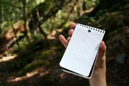 Hand holding empty notepad outdoor
