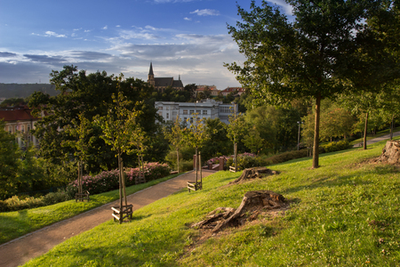 Green gardens with beautiful lawn and trees in the center of Prague. Sunny blue sky with few clouds. Apolonar church towers in the background. Praha, Czech Republicの写真素材
