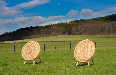 Wooden archery base mady from straws in the countryside. Beautiful spring weather with blue sky and few white clouds. Green meadows with cows and horses.の写真素材