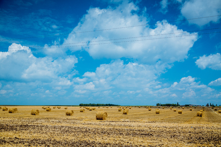 Straw bales on farmland with blue cloudy skyの写真素材