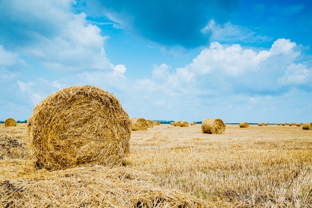 Straw bales on farmland with blue cloudy skyの写真素材