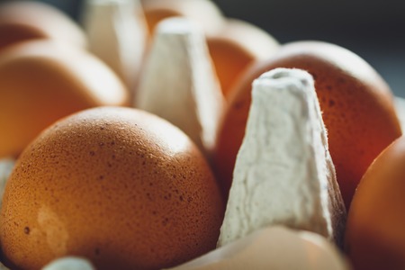 Chicken eggs in egg tray, close-up shotの写真素材