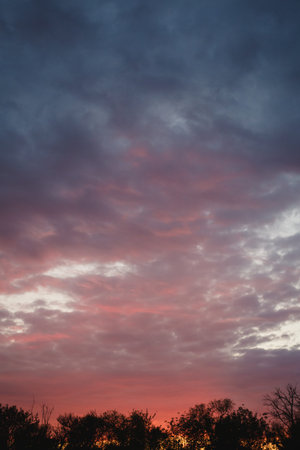 beautiful clouds pink in the sunset over the forestの写真素材