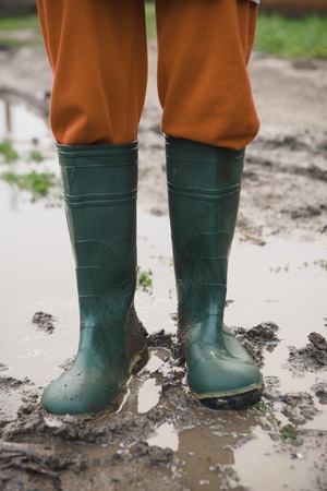 woman in rubber boots standing in a puddle after a summer rain in the villageの写真素材