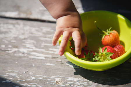 little girl takes a hands-fresh strawberries from the plateの写真素材