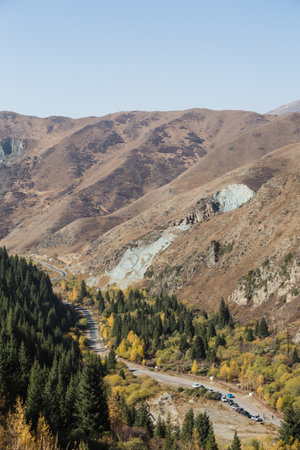 Picturesque view of mountain slope covered with colorful trees in autumn dayの写真素材