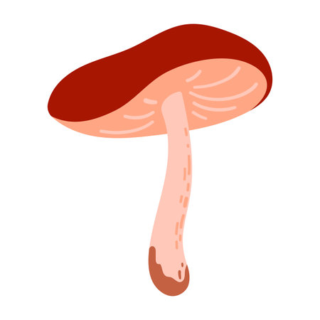 Hand Drawn Brown Boletus Mushroom Illustration Isolated on White Background. Autumn Forest Harvest. Fall Season Floraのイラスト素材