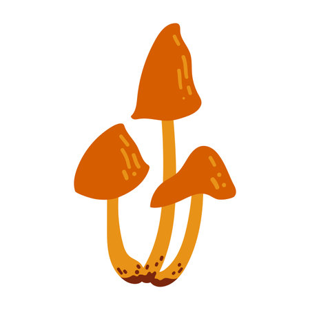 Hand Drawn Honey Mushrooms Illustration Isolated on White Background. Autumn Forest Harvest. Fall Season Floraのイラスト素材