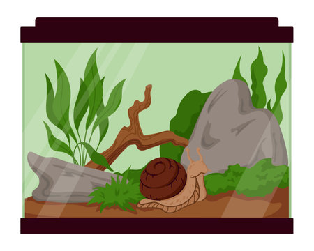Terrarium for Snail with Rocks, Wood, Plants and Soil Isolated on White Background. Achatina Aquarium Habitat Setup for Exotic Pet Care. Vivarium Illustration for Nature Loversのイラスト素材