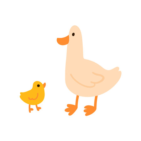 Mother duck standing with duckling simple flat illustration isolated on white. Domestic birds with orange beaks and legs. Great for kids content, nursery prints, farm and animal themesのイラスト素材