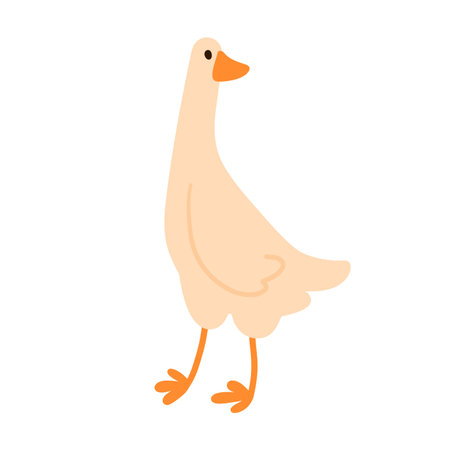 Flat simple standing goose with long neck and webbed feet, isolated on white. Suitable for kids content, farm themes, and animal projectsのイラスト素材