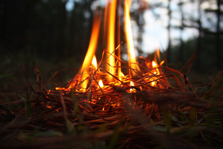 fire.